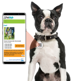 PetHub QR Pet ID Tag – Original Get Me Home Club